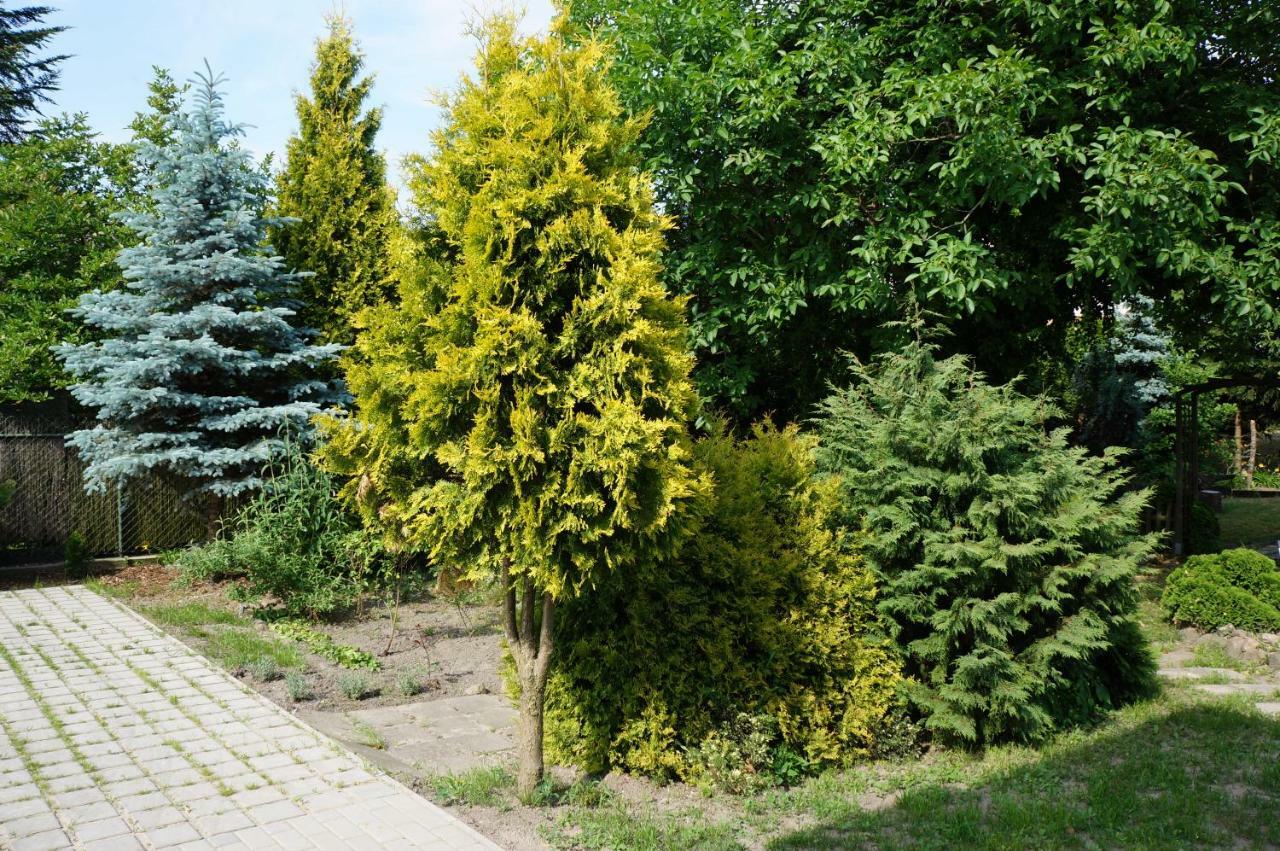 Apartamenty Z Klimatem Poznan Exterior photo